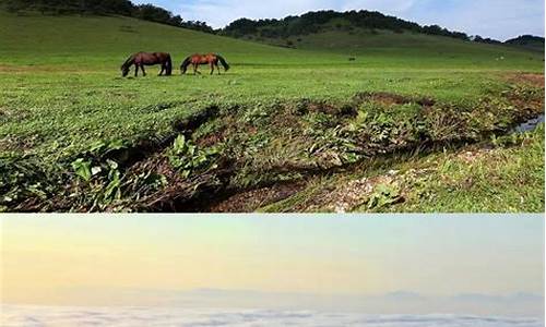 关山牧场天气旅游攻略_关山牧场风景区