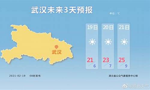 武汉25号什么天气下雪_武汉天气预报25天气报