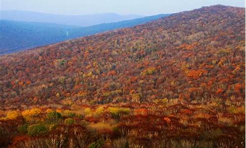 龙山天气预报一周七天_龙山天气预报一周