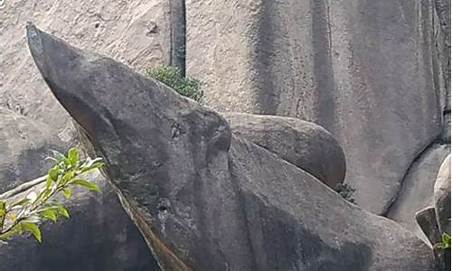 云霄乌山一日游_今天云霄乌山天气