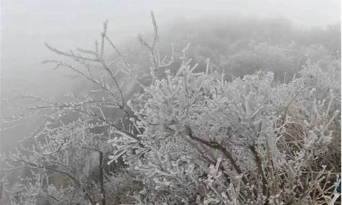 百岁画家彭祖华_广州天气江苏会下雪吗